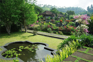 Bali style garden