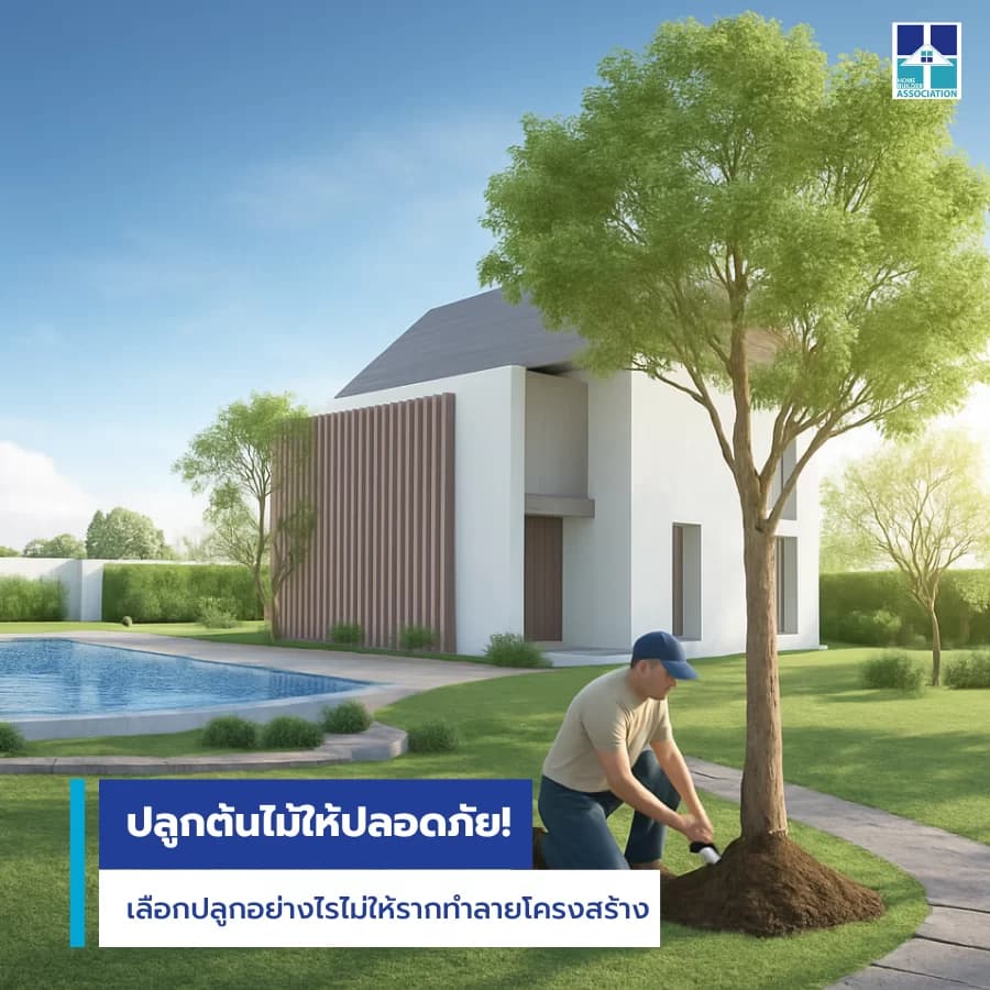 วิธีเลือกตำแหน่งปลูกต้นไม้ในบ้านและรอบบ้านให้ถูกต้อง