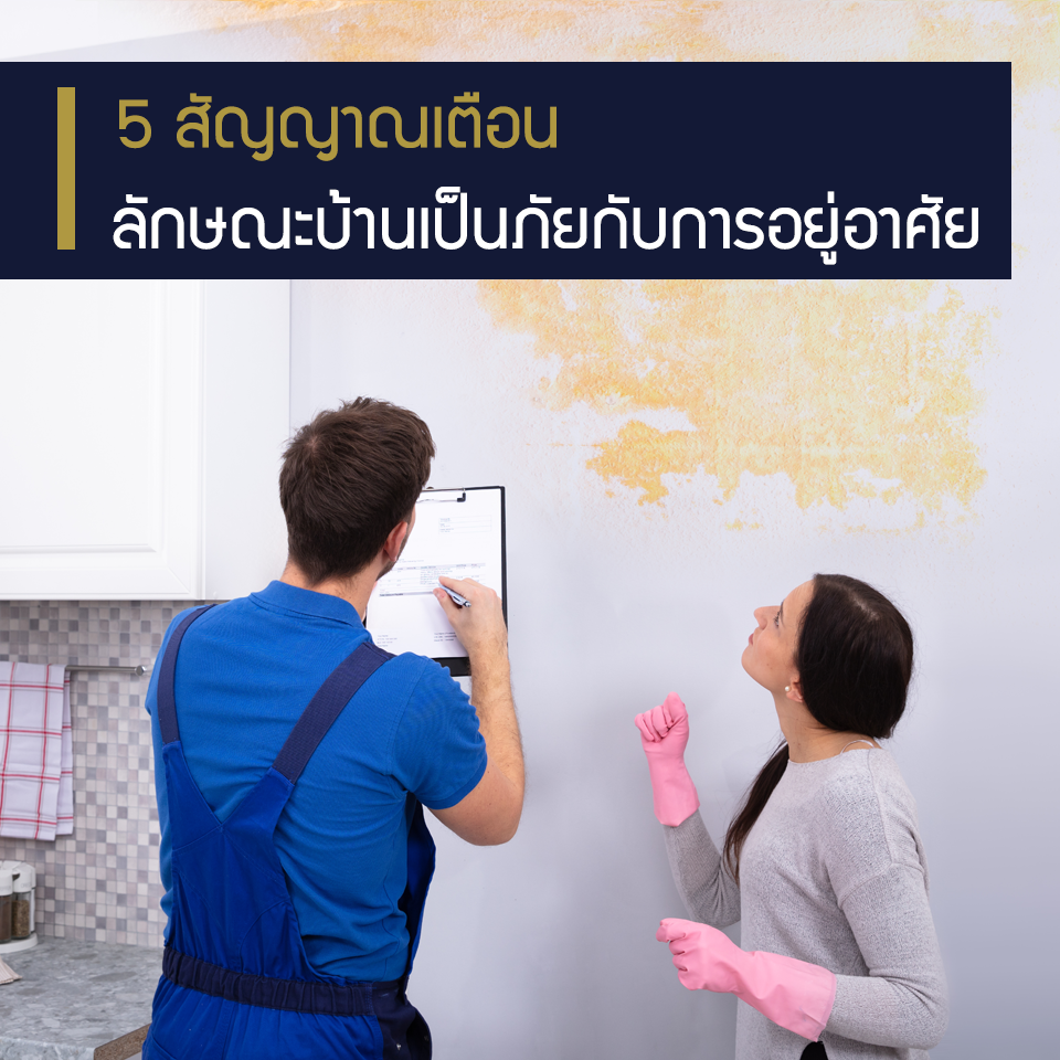 Home Professional