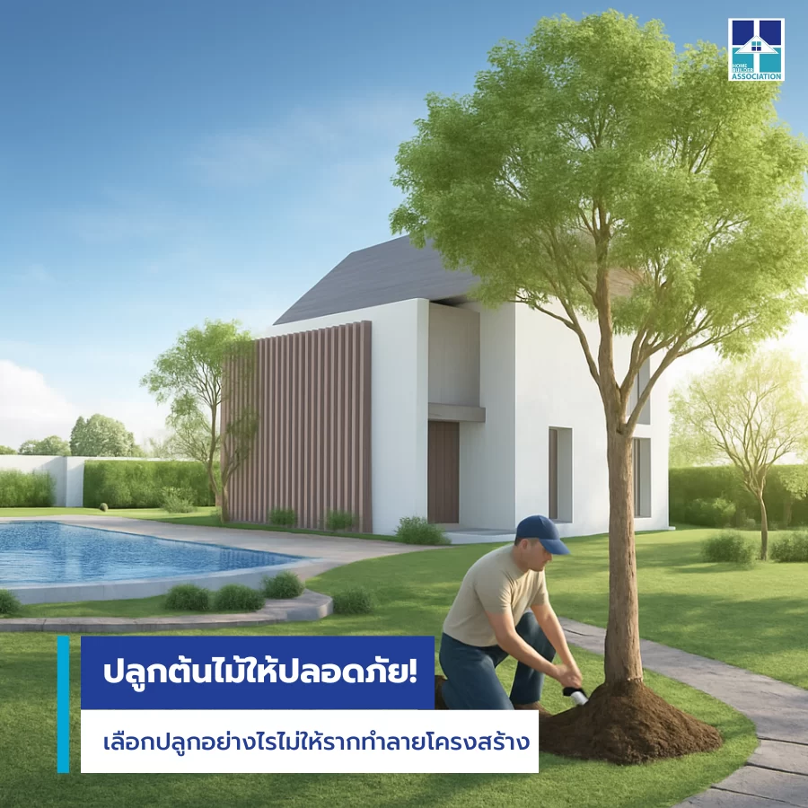 ปลูกต้นไม้ให้ปลอดภัย! เลือกปลูกอย่างไรไม่ให้รากทำลายโครงสร้าง
